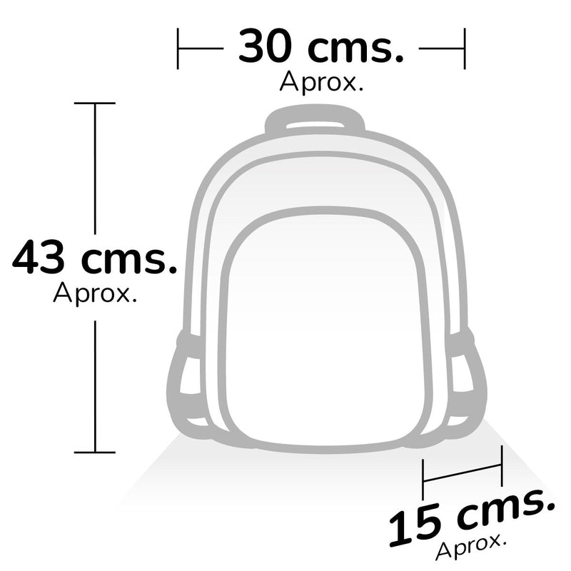 Maleta Morral Bolsos diseños surtidos